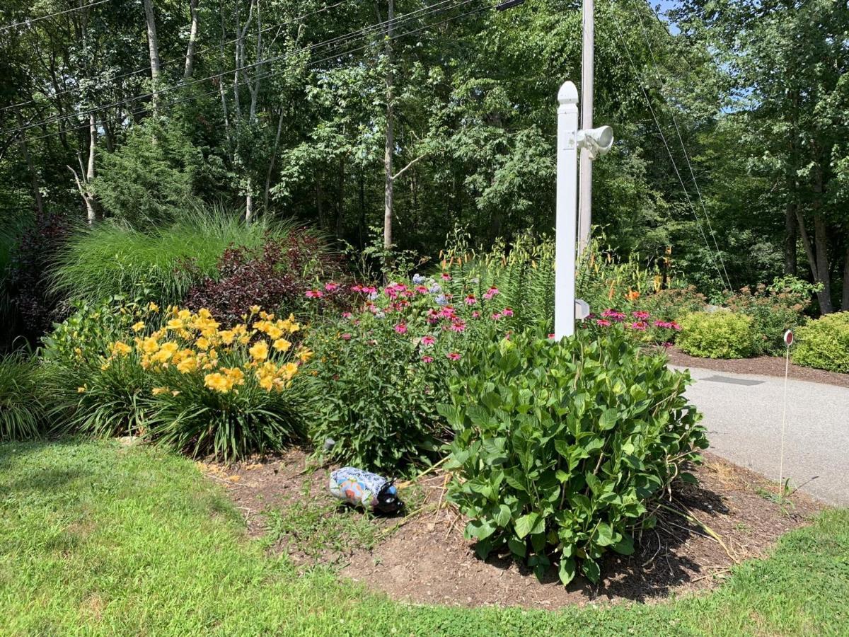 Cozy Bungalow Just Minutes From Mystic, Westerly Beaches, Boating And Casinos! Bungalow Groton Kültér fotó